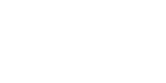 LePierre Roofing