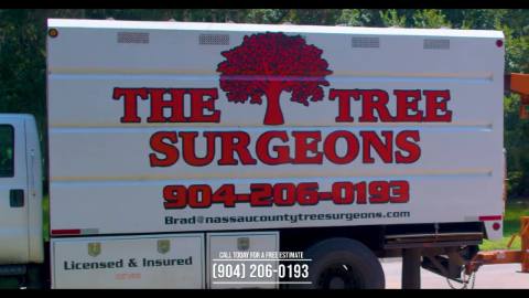 The Tree Surgeons: Tree care commercial