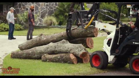 The Tree Surgeons: Company commercial