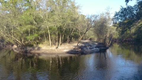 4+ Acres in Bryceville: Land listing